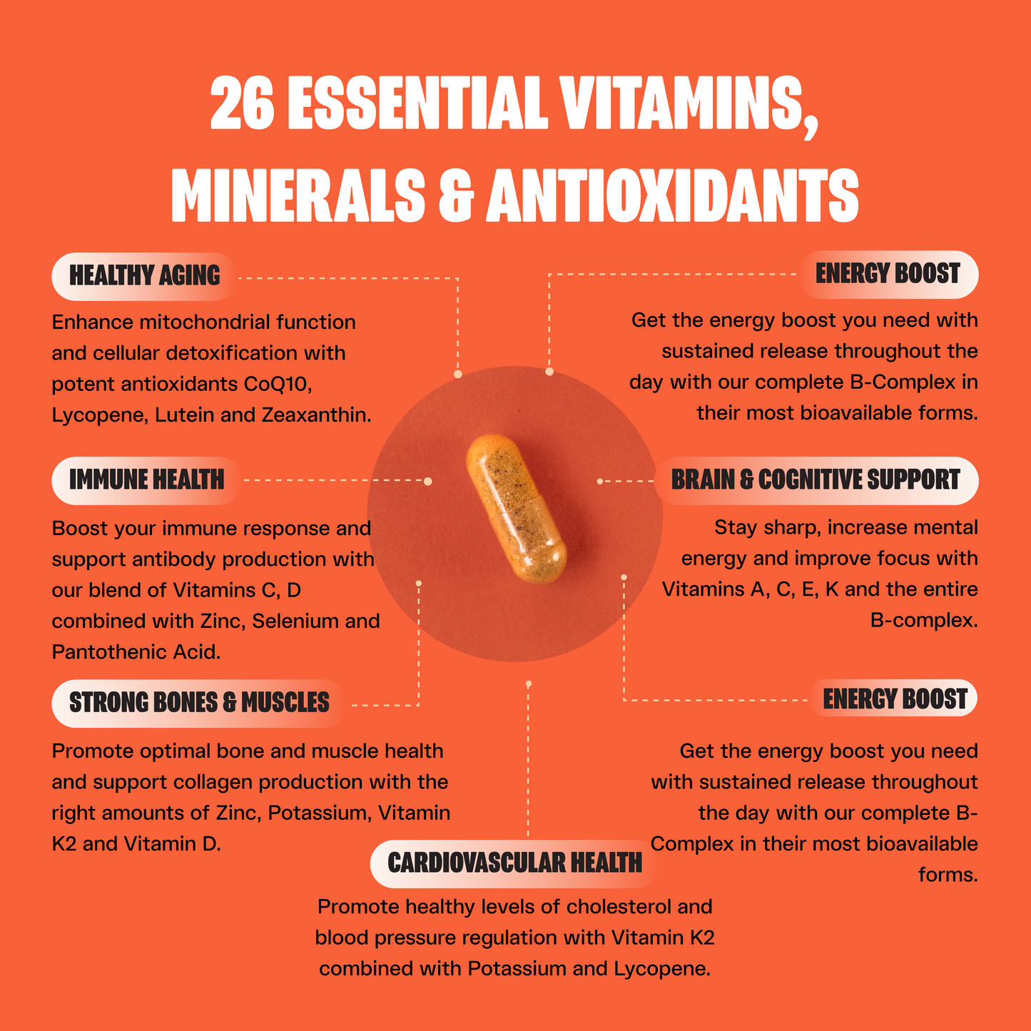 BEST Multivitamin ingredients